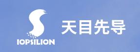 Iopsilion