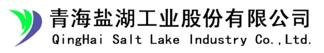 Qinghai salt lake industry
