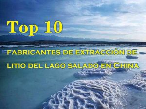 Top 10 salt lake lithium extraction manufacturers in China